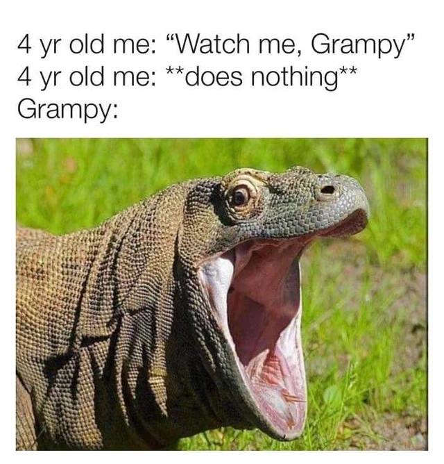 4yr old me: Watch me Grampy meme
