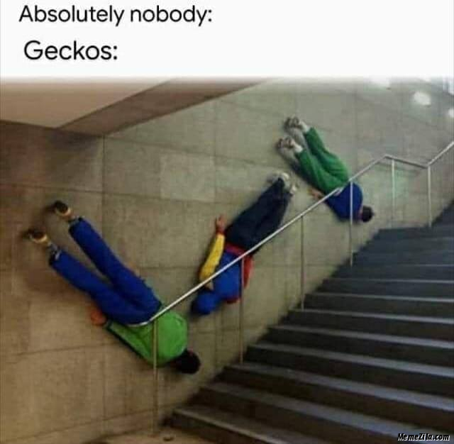 Absolutely nobody Geckos meme
