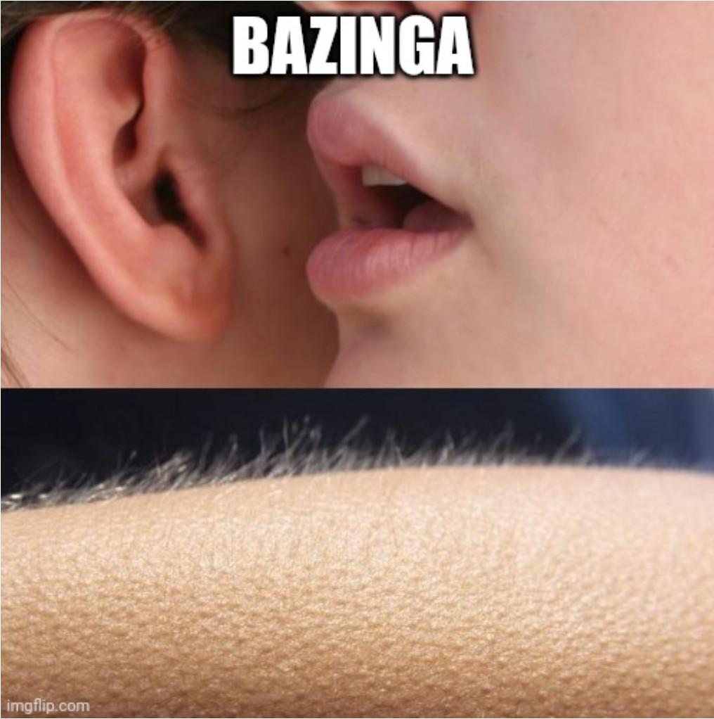 Bazinga meme
