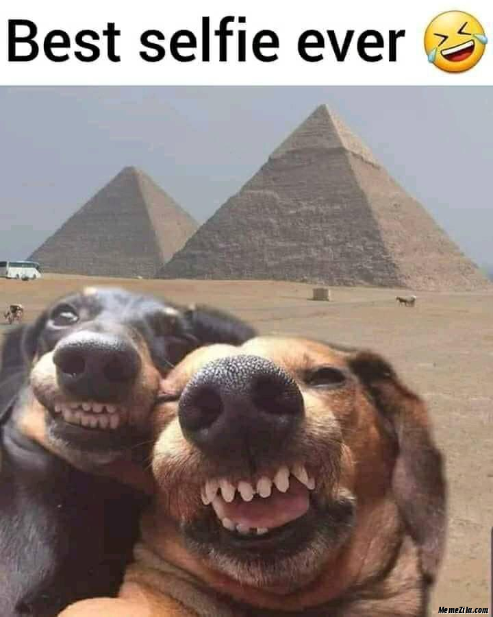 Best selfie ever meme