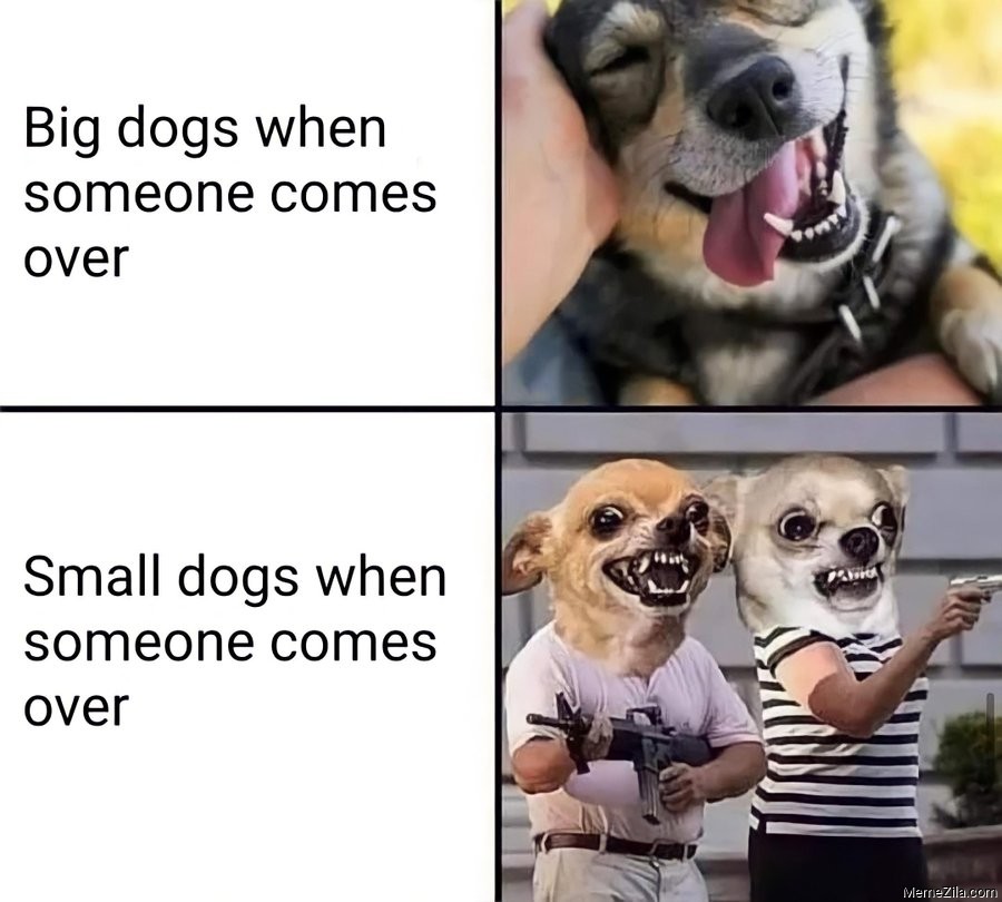 Big dogs when someone comes over vs Small dog when someone comes over meme