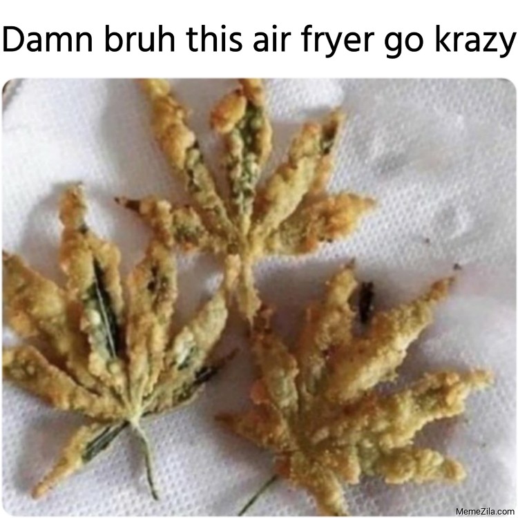 Damn bruh this air fryer go krazy meme