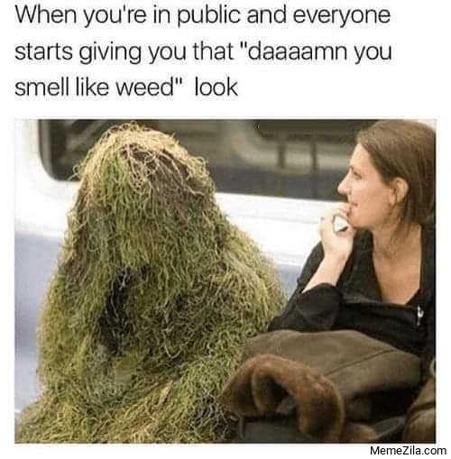 Damn you smell like weed meme