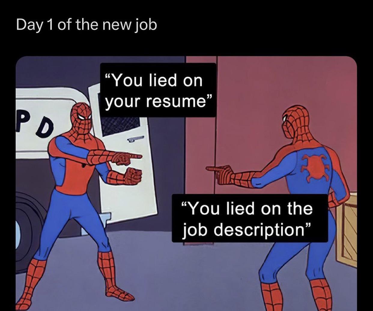 Day 1 of job You lied on your resume You lied on job description meme