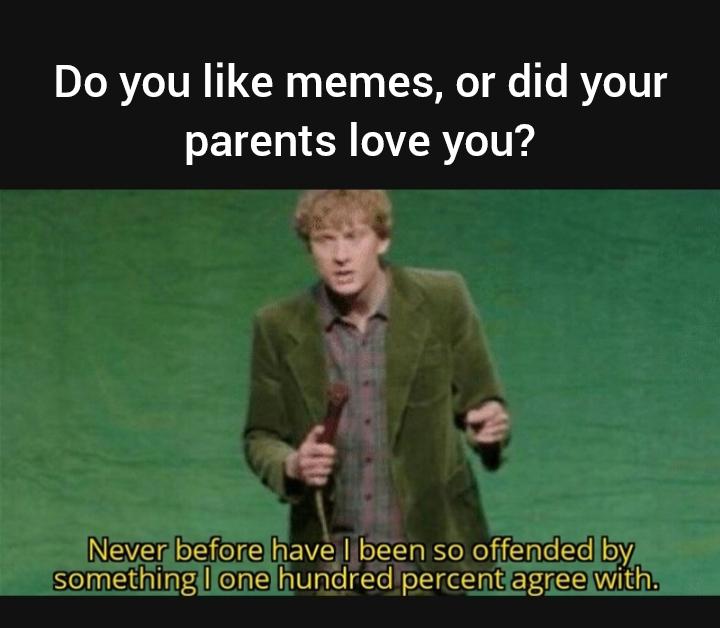 Do you like memes, or did your parents love you meme