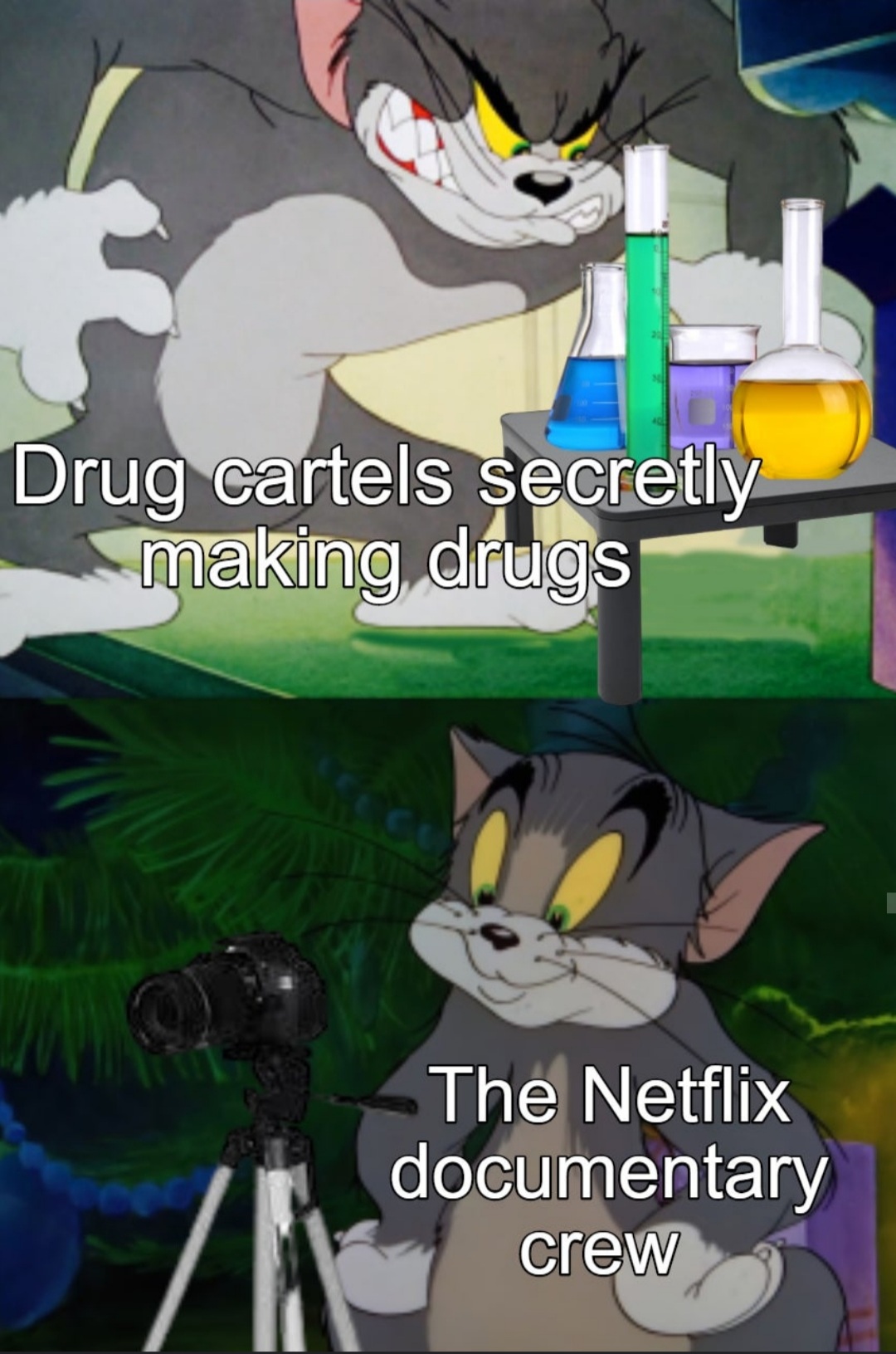 Drug cartels secretly making drugs The Netflix documentary crew meme