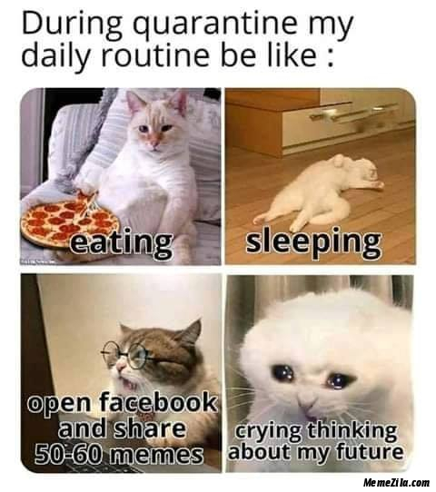 During quarantine my daily routine be like meme