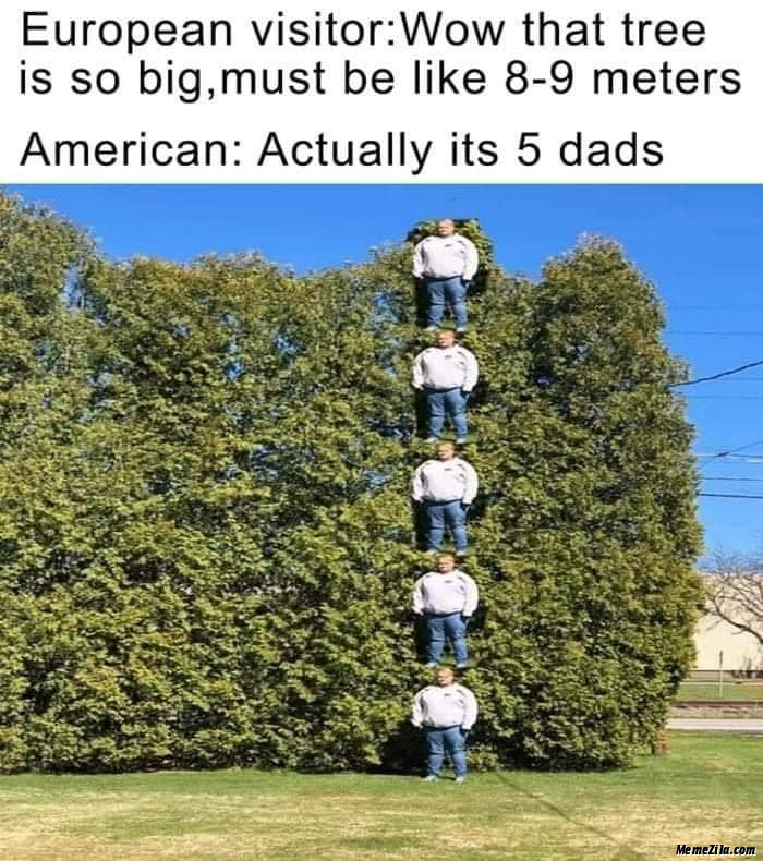 European visitor Wow that tree is so big Mostly like 8-9 meters American Actually its 5 dads meme