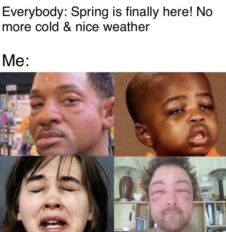 Everybody: spring is finally here No kore cold and nice weather Me: meme