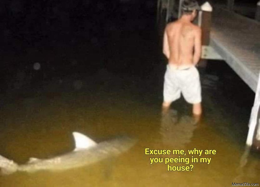 Excuse me Why are you peeing in my house meme