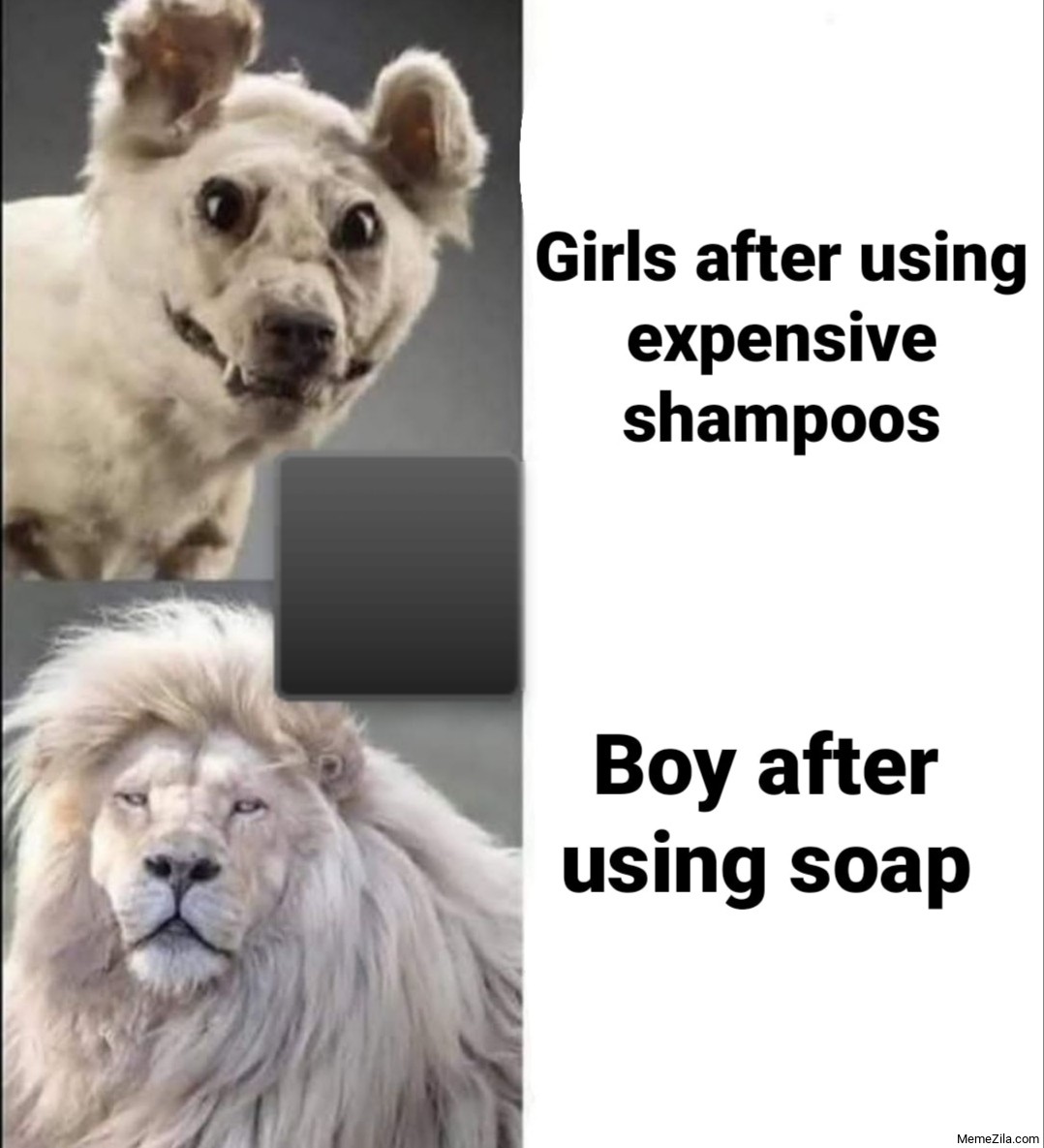 Girls after using expensive shampoo vs Boys after using soap meme