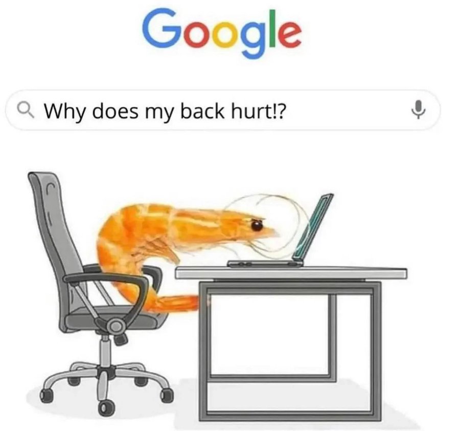 Google Why does my back hurt meme