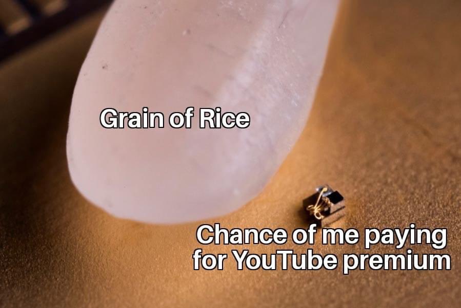 Grain of rice Chance of me paying for YouTube premium meme