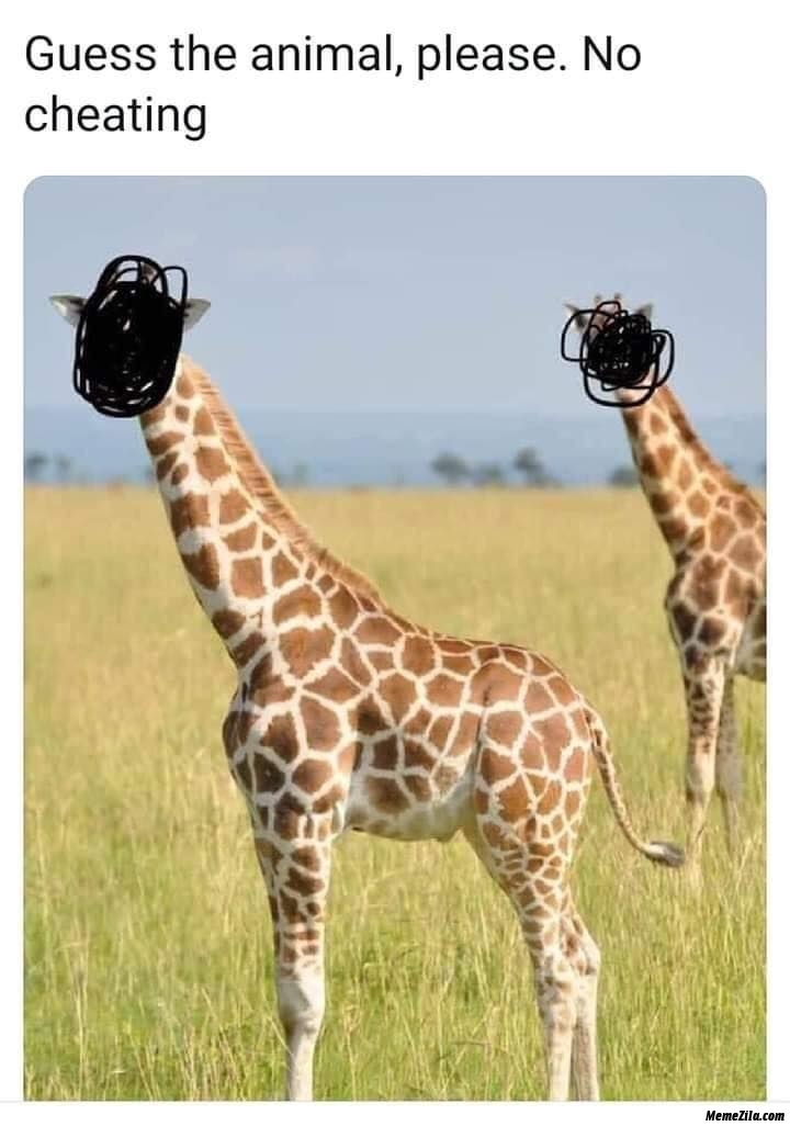 Guess the animal Giraffe meme