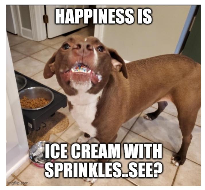 Happiness is ice cream with sprinkles See? meme