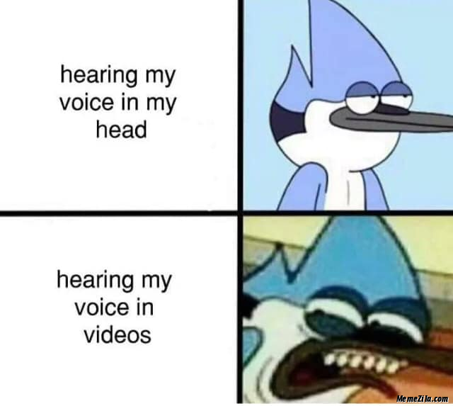 Hearing my voice in my head vs Hearing my voice in videos meme
