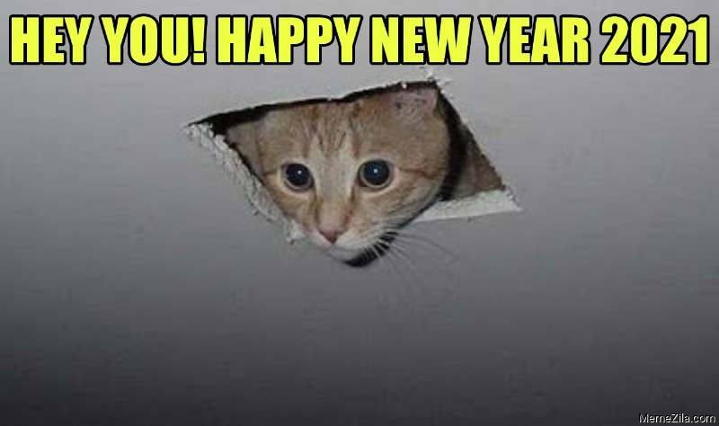 Hey you Happy new year 2021 Ceiling cat meme