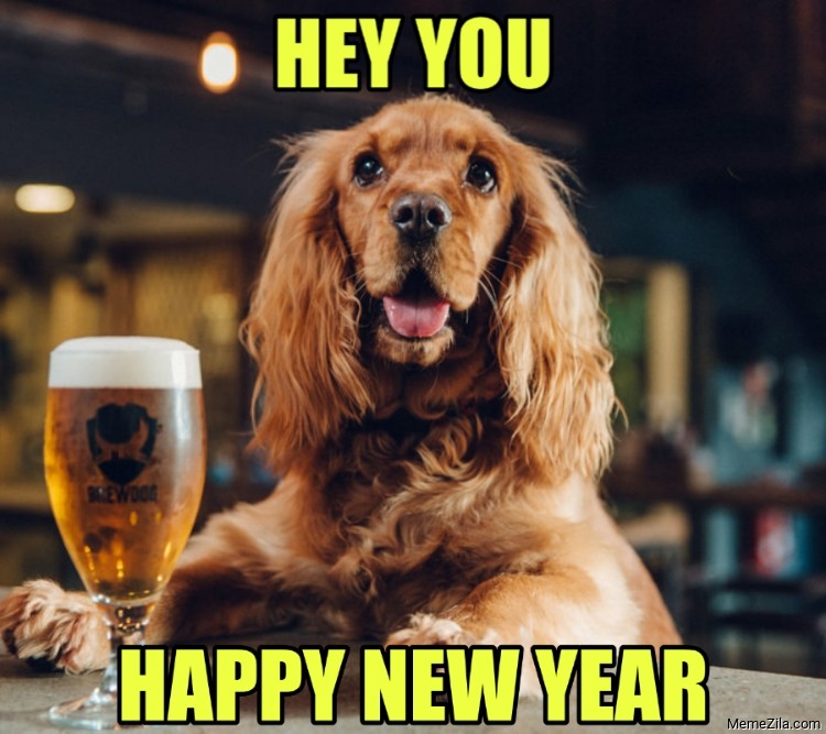 Hey you Happy new year meme