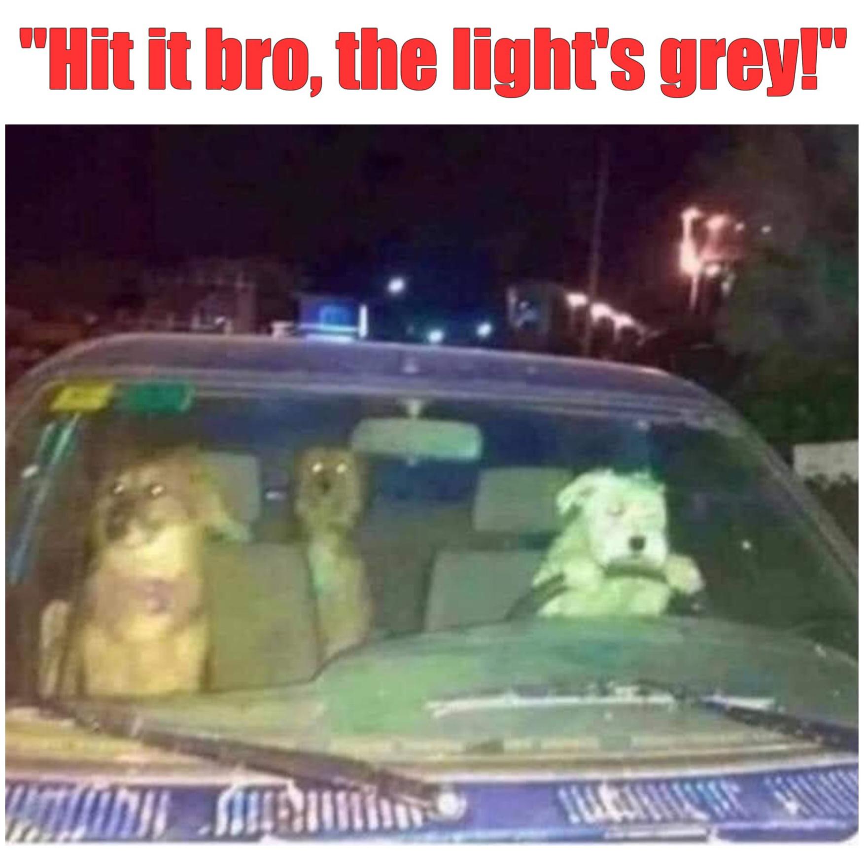 Hit it bro, the light's gray meme