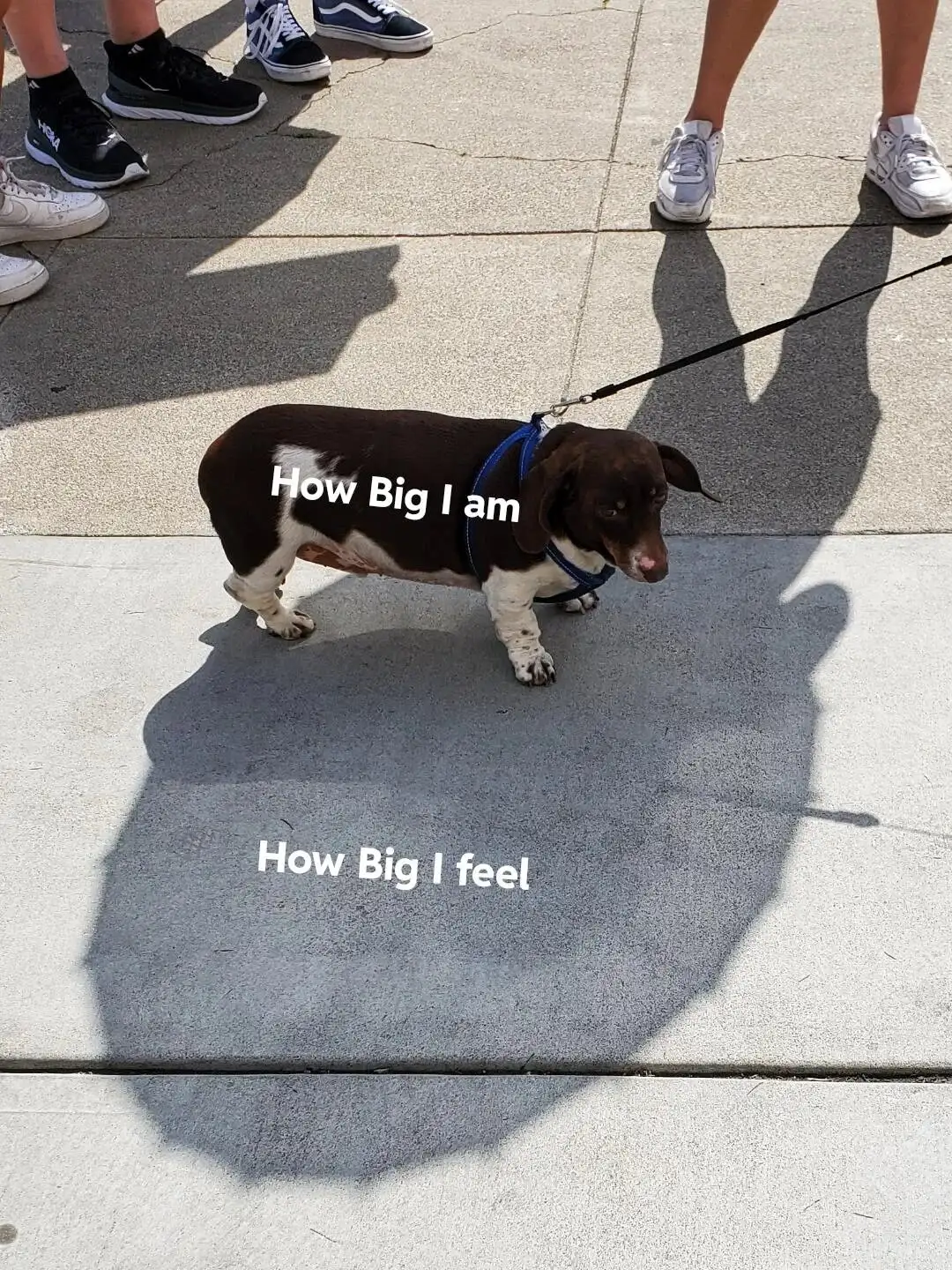 How big I am How big I feel meme