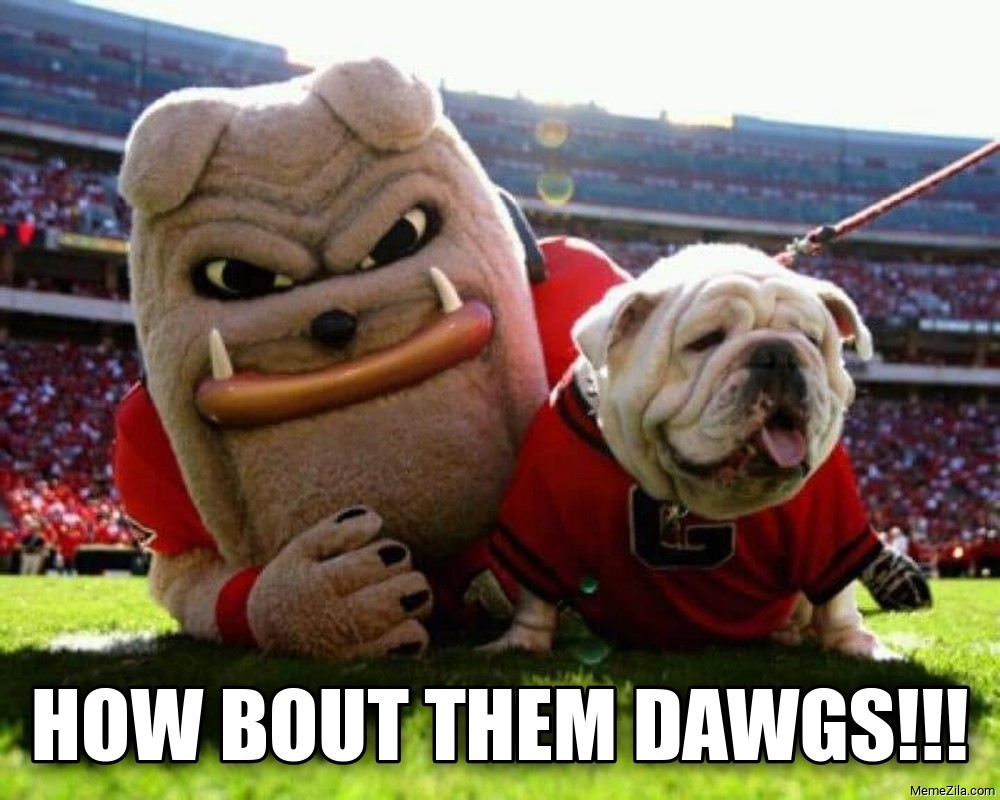 How bout them Dawgs!!! Meme