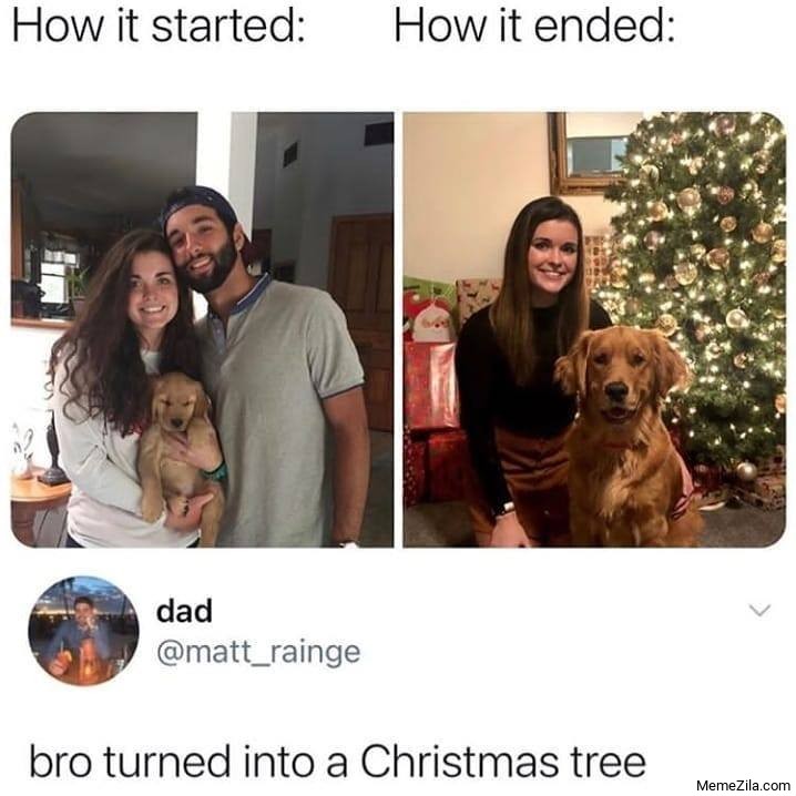 How it started How it ended Bro turned into a Christmas tree meme