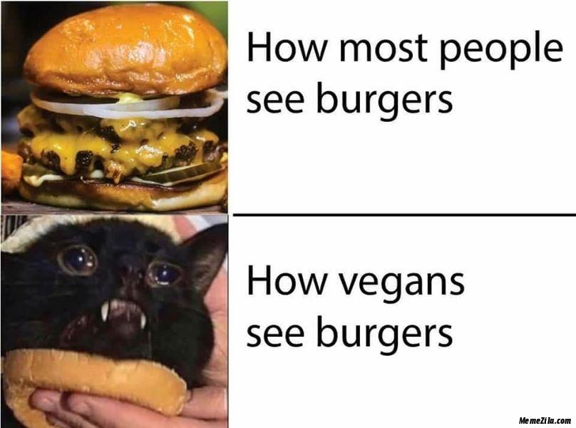 How most people see burgers How vegans see burgers meme
