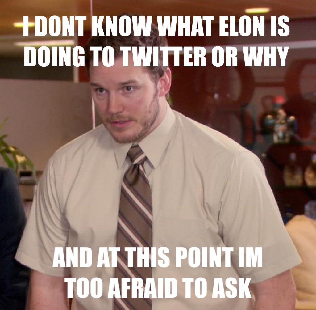 I don't know what Elon is doing to Twitter or why meme