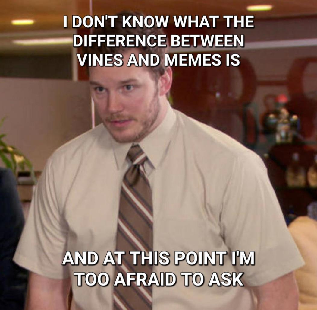 I don't know what the difference between vines and memes is meme
