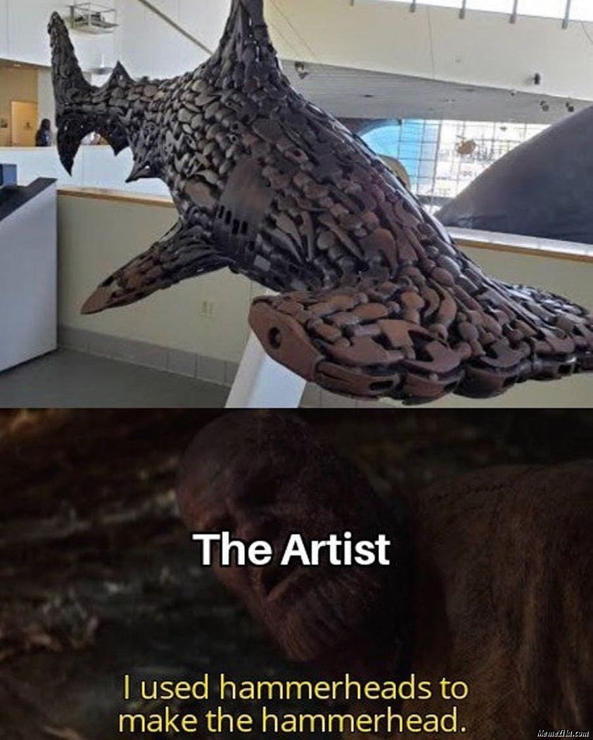I used hammerheads to make the hammerhead meme