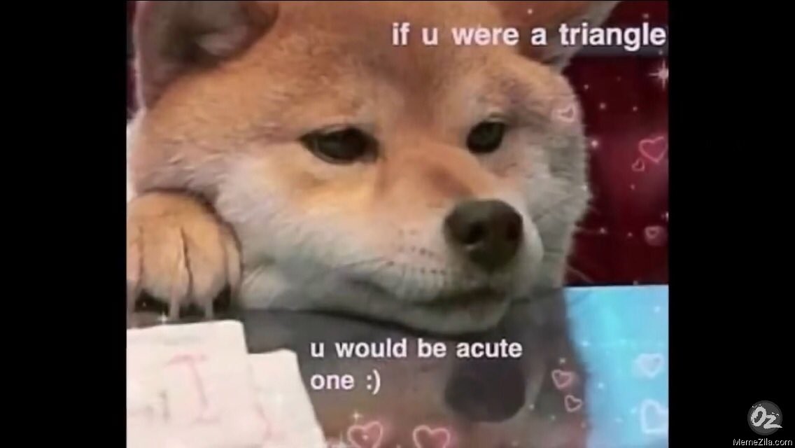If you were a triangle u would be acute one meme