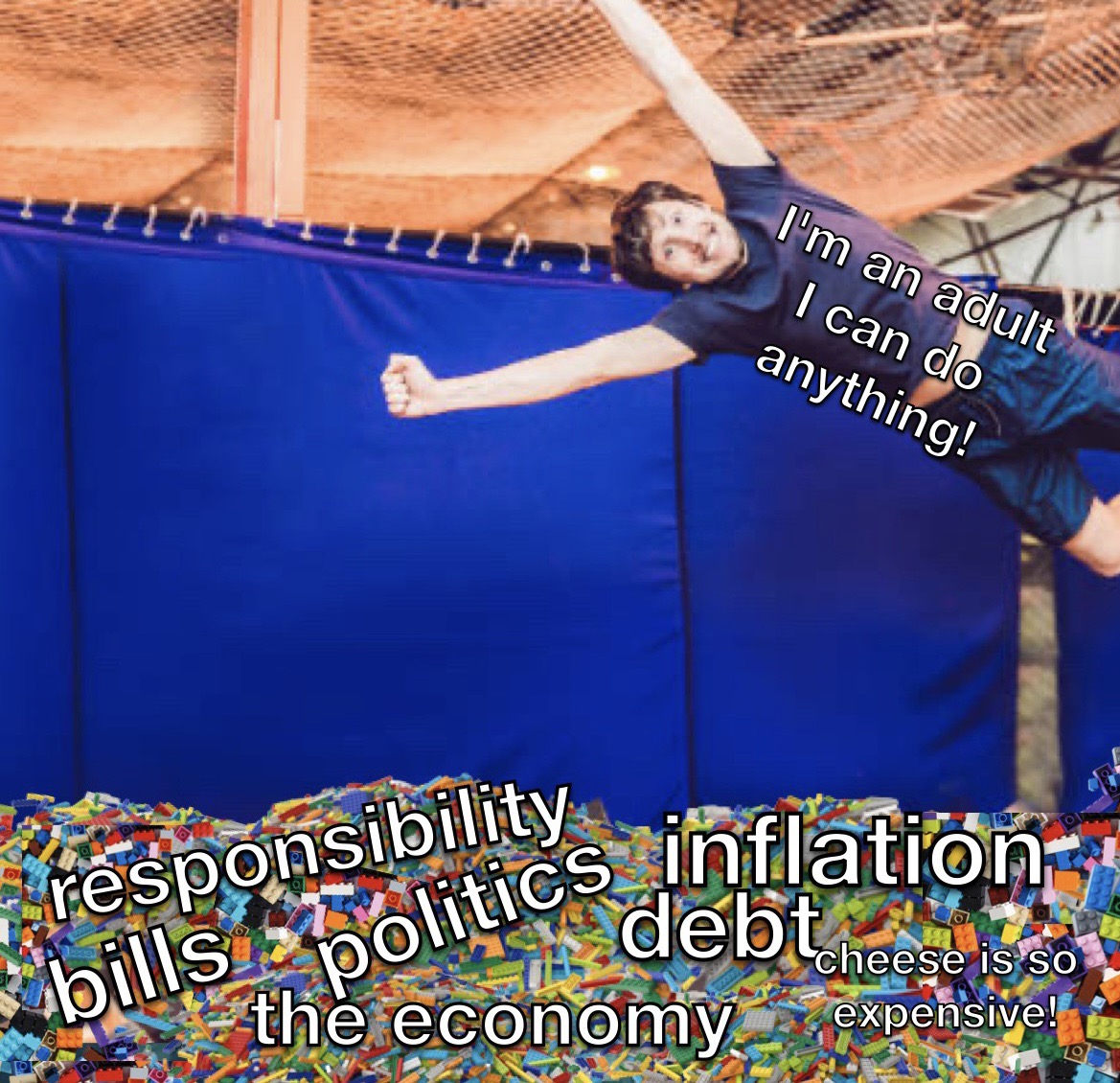 I'm an adult I can do anything meme