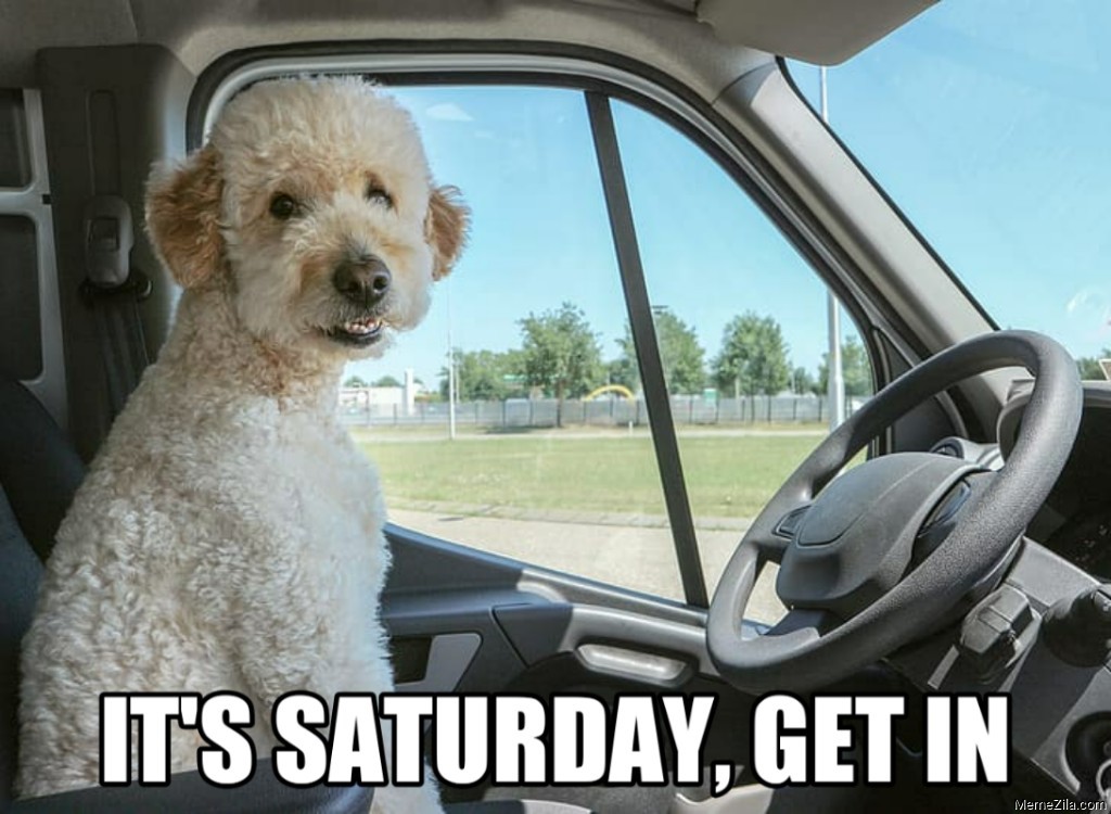 Its saturday Get in meme