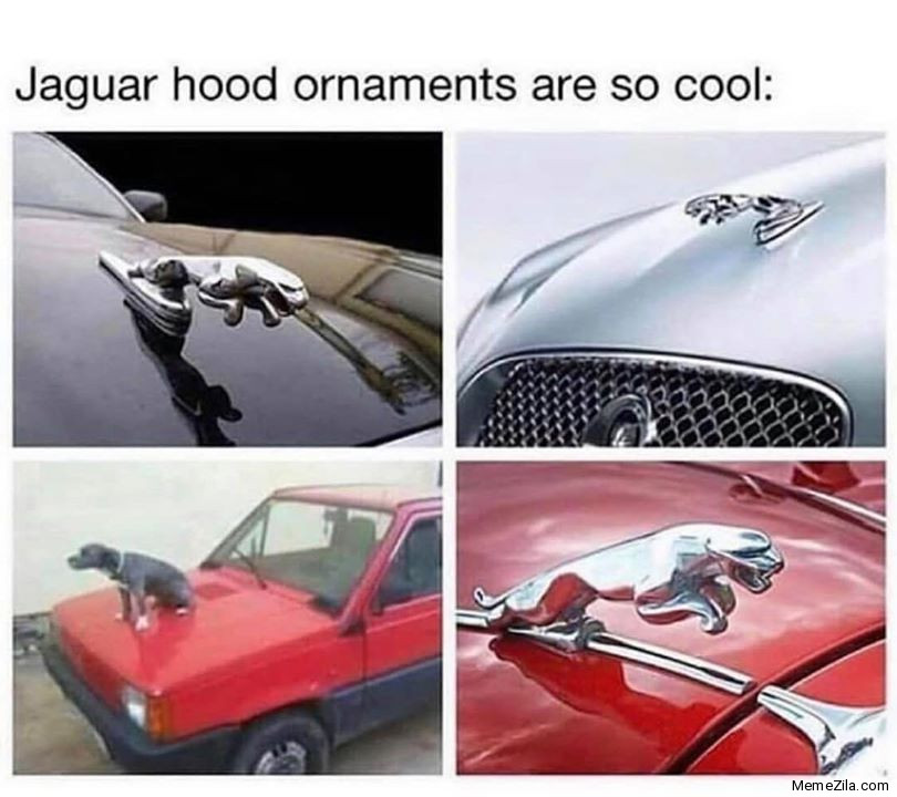 Jaguar hood ornaments are so cool meme