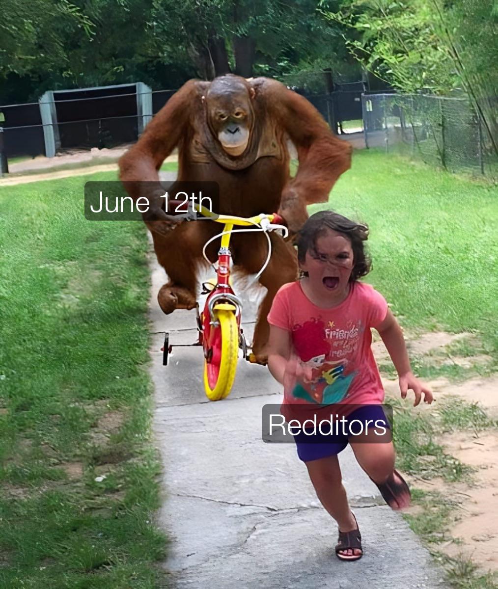 June 12th Redditors meme