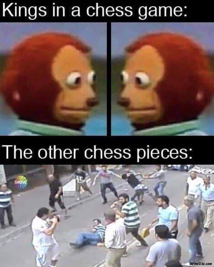 Kings in chess game vs The other chess pieces meme