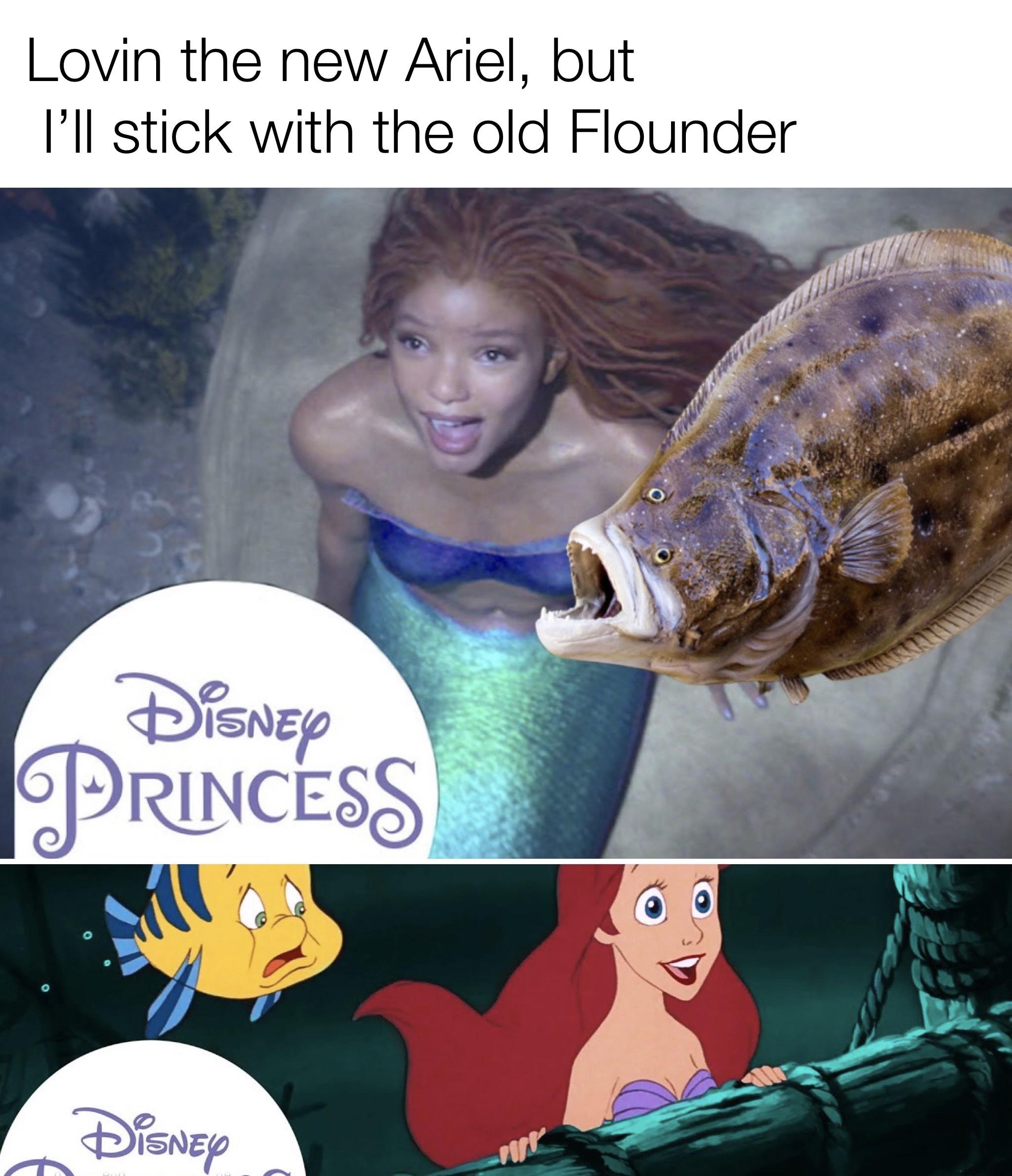 Lovin the new Ariel, but I'll stick with the old Flounder meme