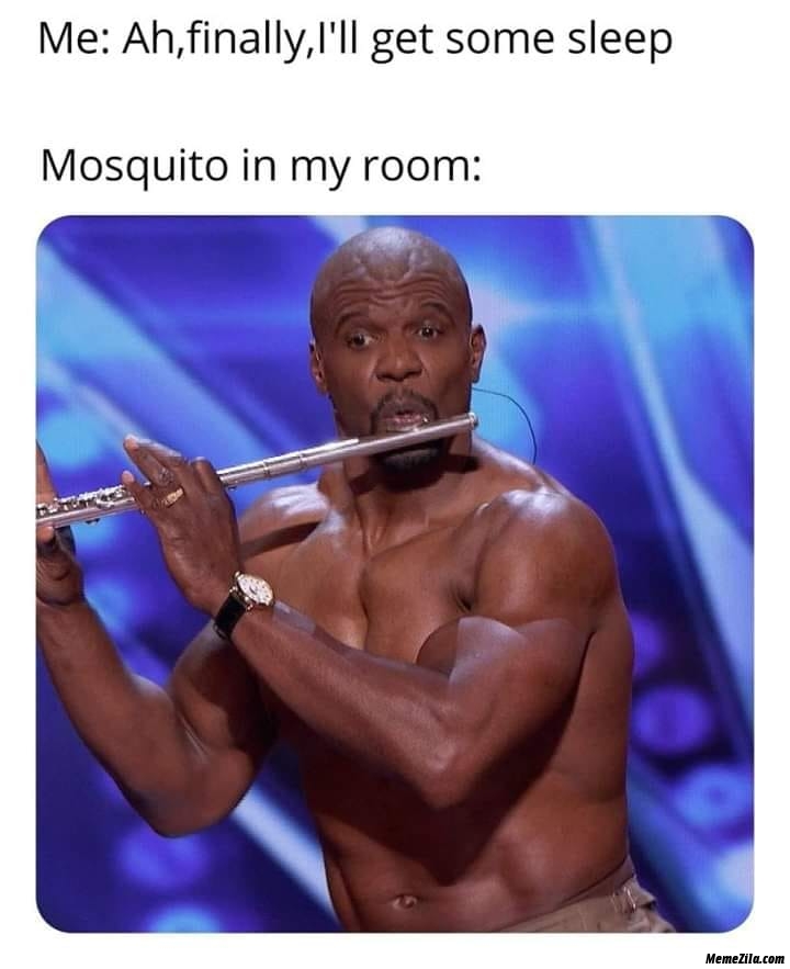 Me Ah finally I will get some sleep Mosquito in my room meme