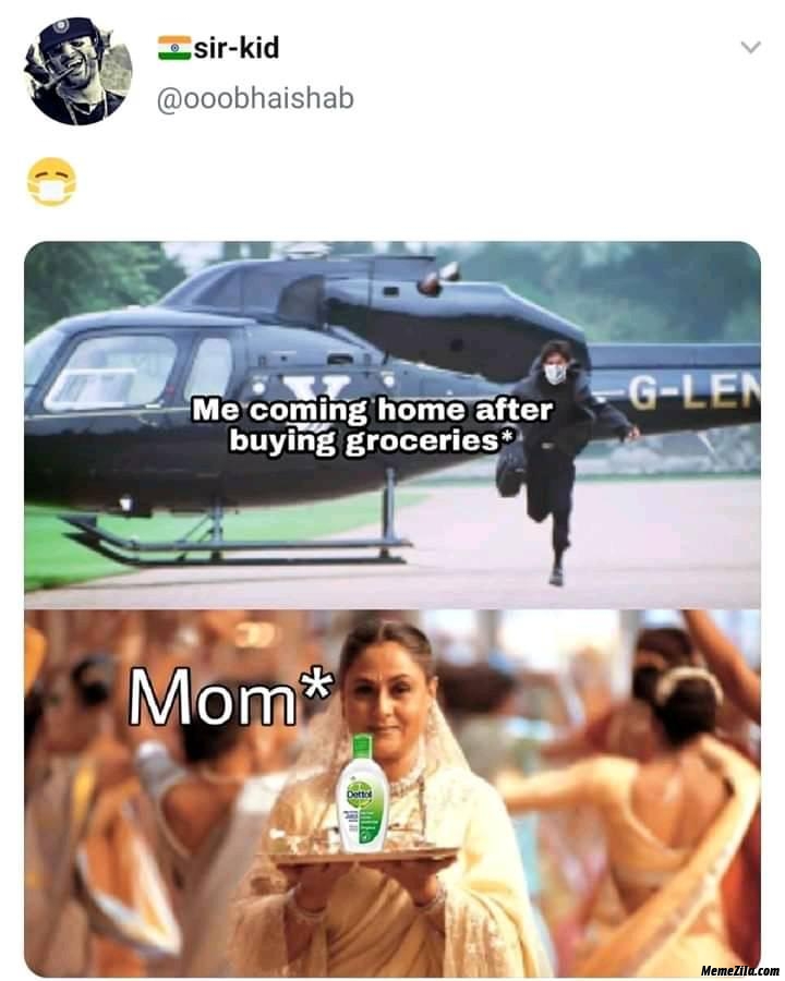 Me coming home after buying groceries meanwhile mom meme