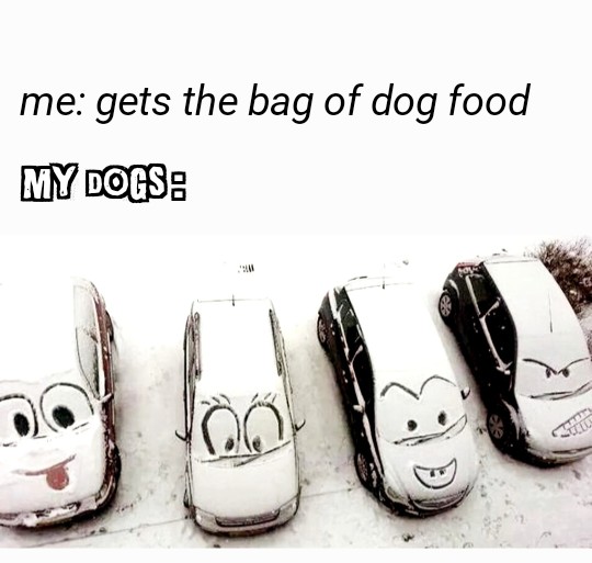 Me: get the best dog food My dogs: meme