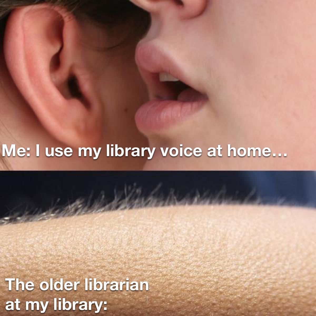 Me: I use my library voice at home The older librarian at my library: meme