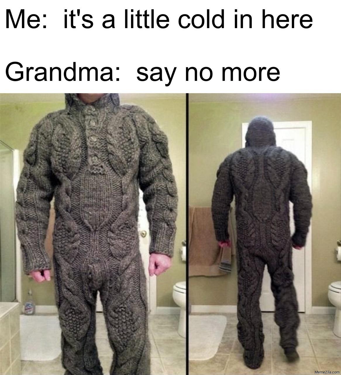Me: It's a little cold in here Grandma: Say no more meme