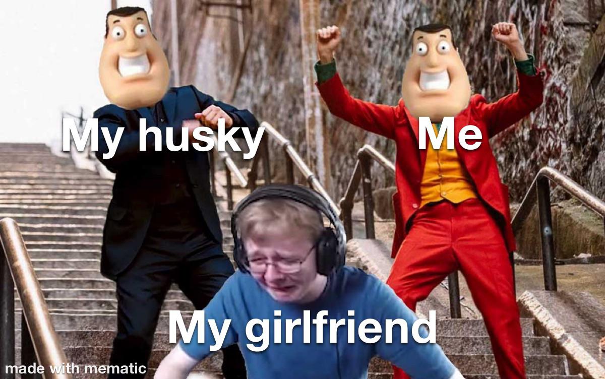 Me My husky My girlfriend meme
