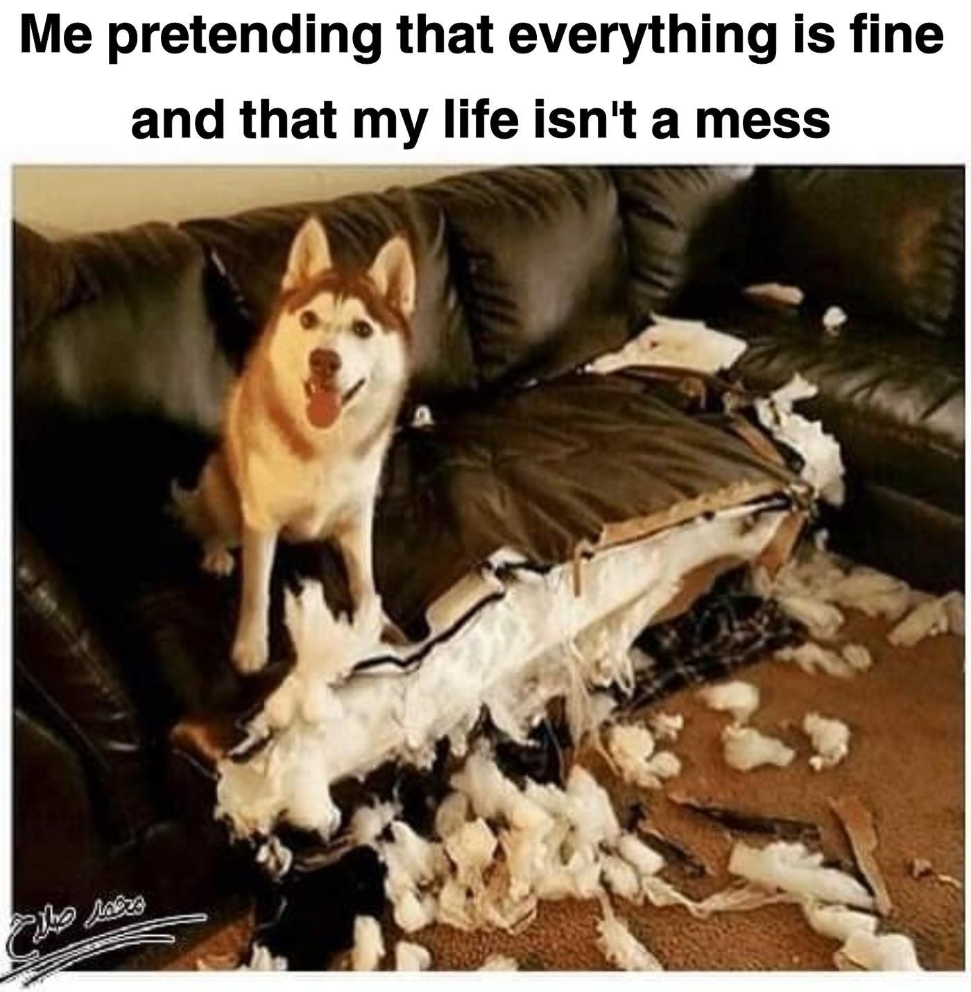 Me pretending that everything is fine and that my life isn't a mess meme