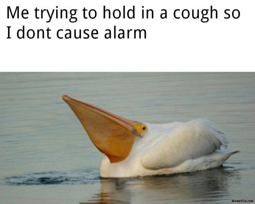 Me trying to hold in a cough so I dont cause alarm meme