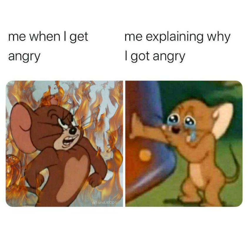 Me when I get angry Me explaining why I got angry meme