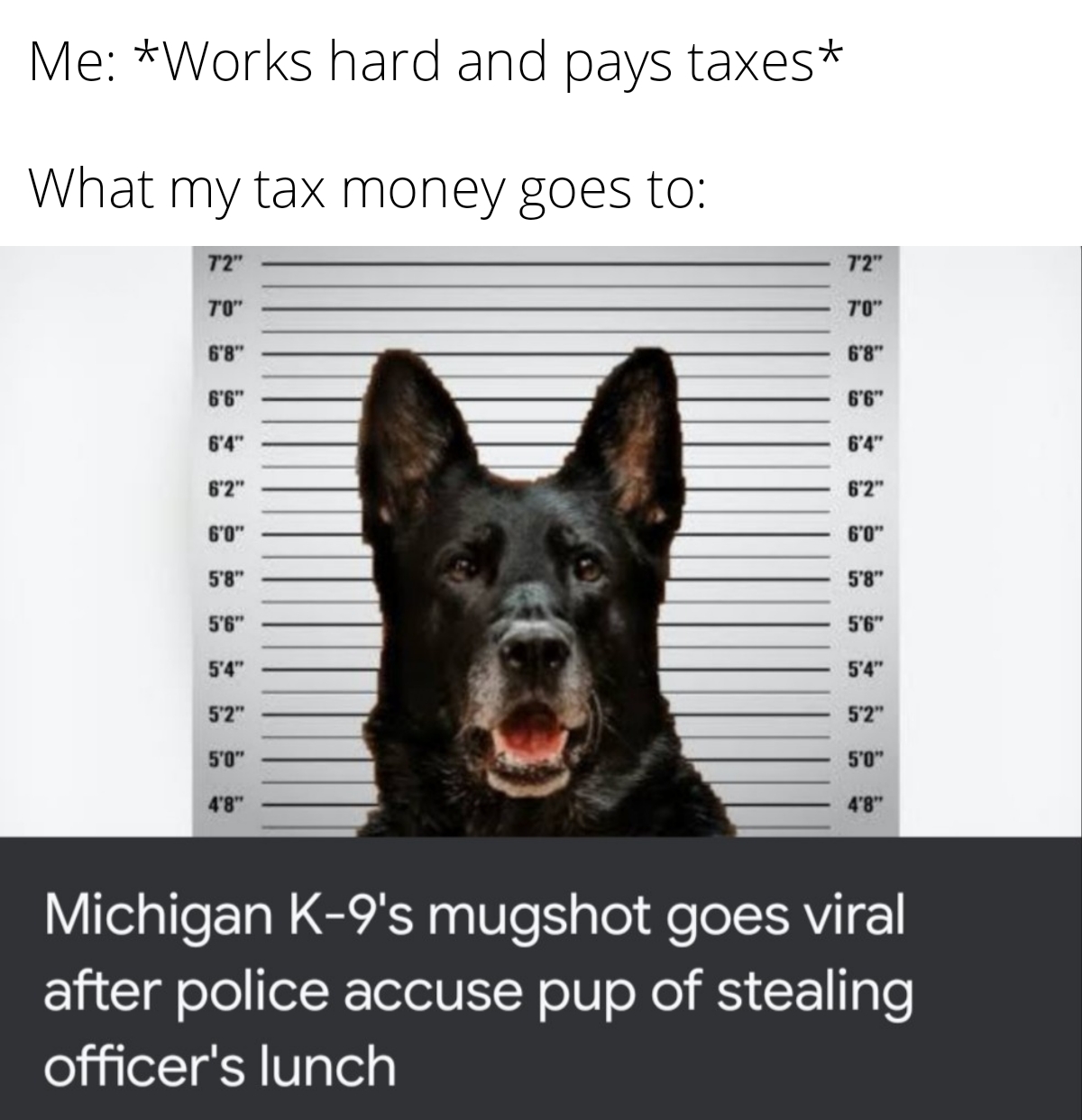 Me works hard and pays taxes What my tax money goes to: meme