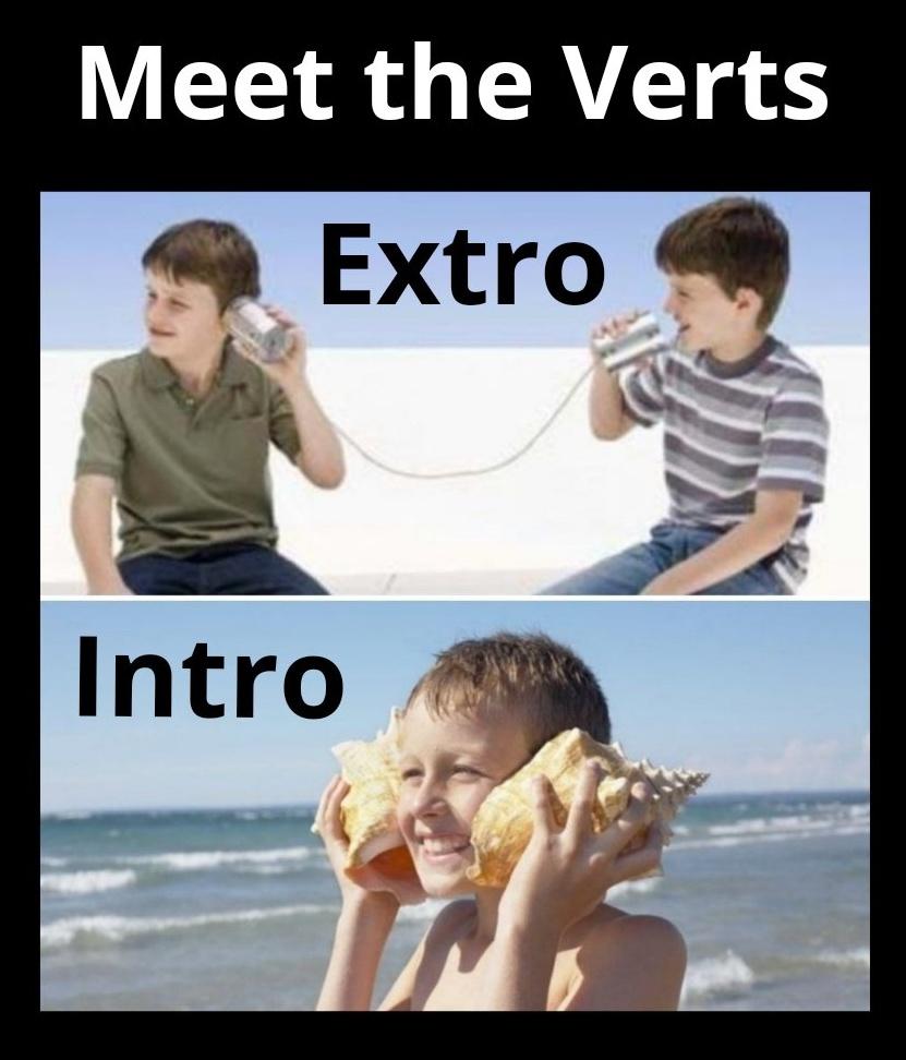 Meet the verts Extro Intro meme