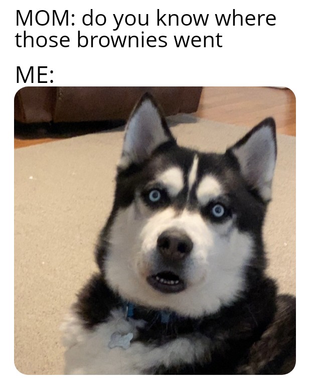 Mom: Do you know where those brownies went? Me: meme