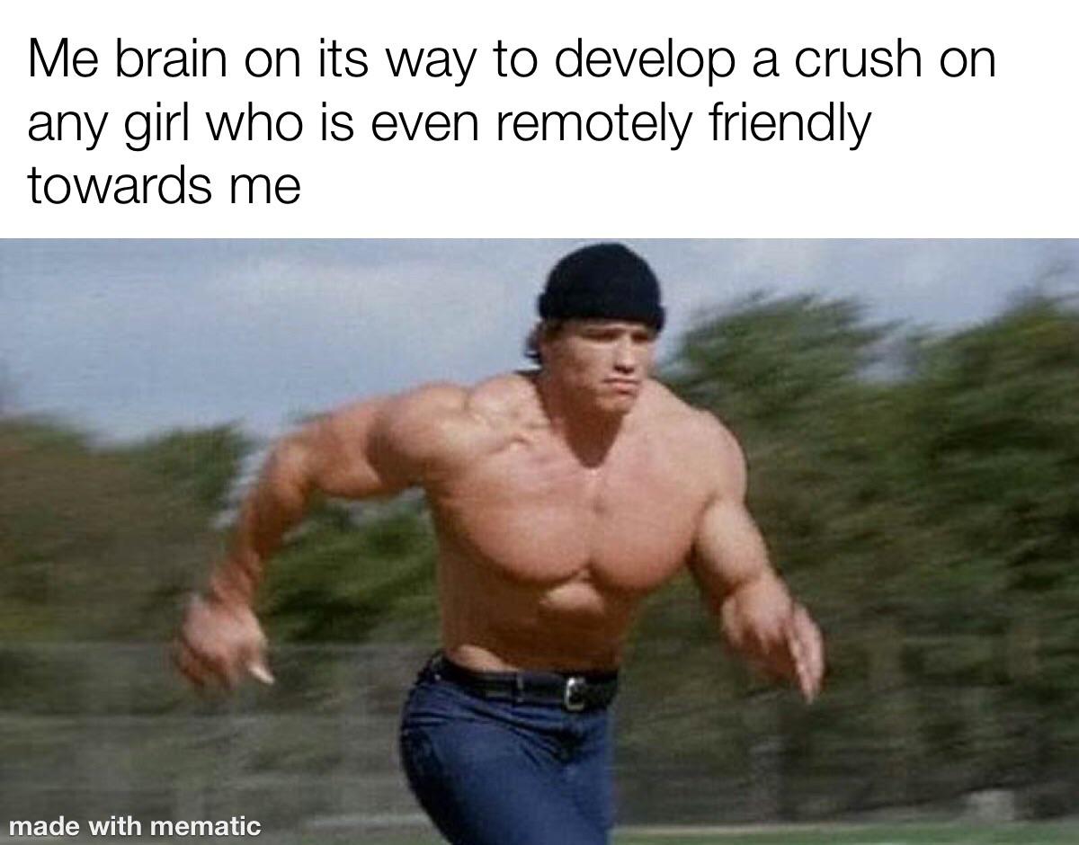 My brain on its way to develop a crush on any girl who is even remotely friendly towards me meme